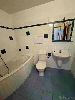 Pronájem bytu 1KK s terasou, Brno- Hálkova - 4