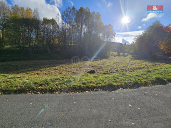 Prodej louky, 345 m², Malá Morava - 4