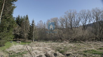 Prodej pozemku Horní Vltavice, okres Prachatice 8046 m2 - 4