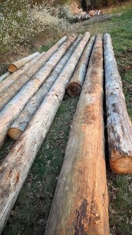 Palivové dřevo smrk, délky 8m/4m mix na výřez a na palivo - 4