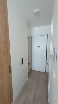 Pronájem bytu 1+kk, Plzeňská, Praha 5, Andel - 4