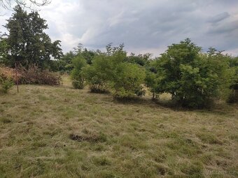 Sale of a building plot in the village of Kozomín - 17 km fr - 4
