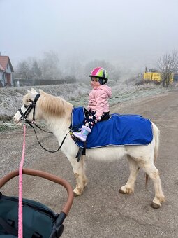 Líbivá pony klisna - 4