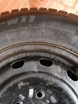 Zimni sada 5 x127 - 4
