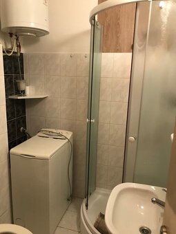 Pronajmu byt 1+1 ve Slavičíně - 4