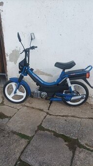 Korado manet - 4