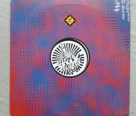 Gramodesky (vinyl) – hip hop, house, taneční, od 80 Kč - 4