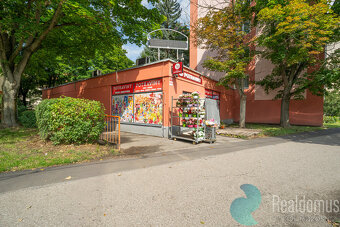 Prodej, nebytový prostor – 211 m², Lidická ulice, České Budě - 4