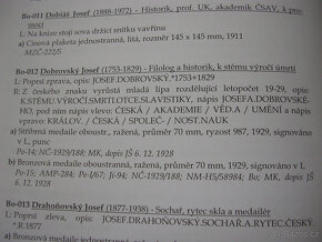 AE medaila 1929 Josef Dobrovský autor J.Šejnost - 4