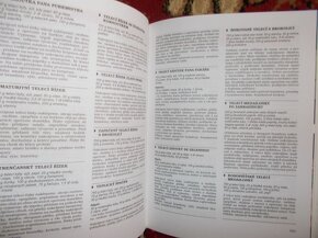Labužnická kuchařka - 4