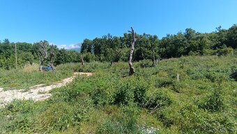 Nový dům, Černá Hora, Montenegro - 4