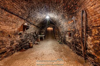 Prodej vinného sklepa, s pozemkem 227m2, k.ú. Strachotice u  - 4