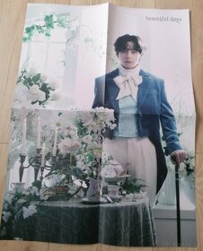 Kpop BTS Taehyung (V) special photofolio veautiful days - 4
