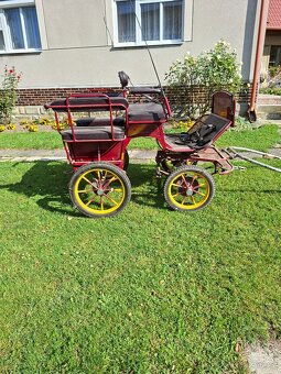 Kočár za koně - 4