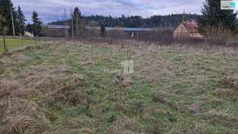 Prodej pozemku o 2983m2 ve Zlaté u Kynšperka nad Ohří - 4