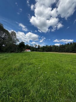 Lukrativní pozemek u Českého Krumlova🌲 - 4