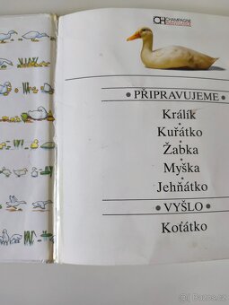 Kachňátko – podívej jak rostou, naučná knížka pro děti - 4