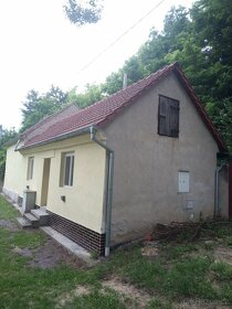 Chalupa nebo dům v Horních Dunajovicích - 4
