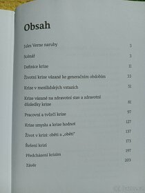 Krize v životě, život v krizi - Radkin Honzák - 4