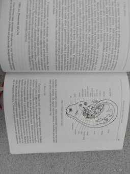 Klasicka cinska medicina - 4