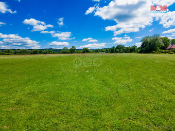 Prodej louky, 4976 m², Nové Mitrovice - 4