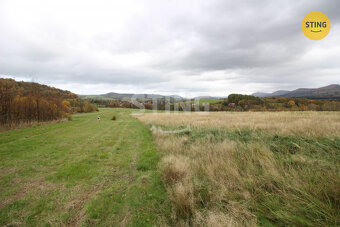 Prodej investičního pozemku v Hostašovicích, 133771 - 4