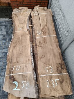 Ořechové fošny na epoxidové stoly Možnost odběru po fošňě - 4