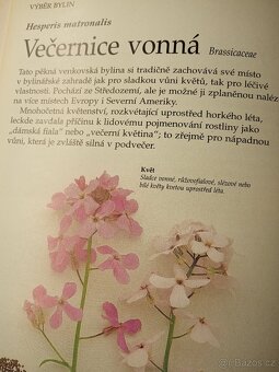 Bylinář - zdraví, krása a radost - L.Bremnessová - 4