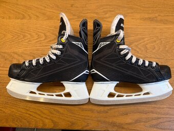 Brusle Bauer Score  36 - 4