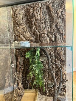 Velké Terárium - 4