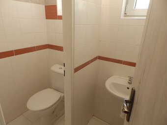 Prodej rodinný dům 5+2, Týnec nad Labem, část Lžovice - 4