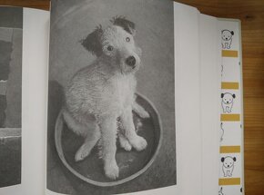 Karel Čapek - Dášeňka čili život štěněte nová kniha pro děti - 4