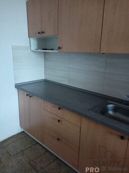 Pronájem bytu 1+kk 117m2 - Veselice - Vavřinec - 4