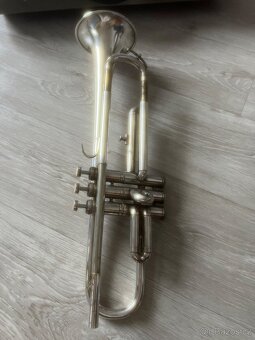 Trúbka Lignatone - 4