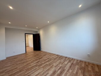 Pronájem bytu 2+1 - 4