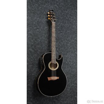 Elektroakustická kytara Ibanez Steva Vaie - 4