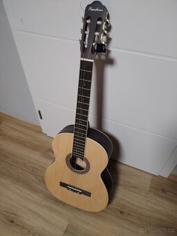 Španělská kytara Pasadena SC041 - 4