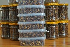 Pyl fermentovaný z plástů - Perga - Ambrosie. Ruční práce - 4