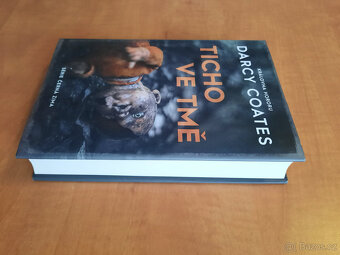 Šepot v mlze, Ticho ve tmě - 4