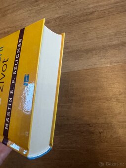 Naučený optimismus, Martin E.P. Seligman - 4