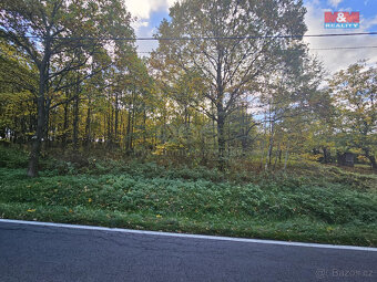 Prodej louky, 4228 m², Mikulovice - 4