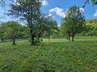 Sečení trávy a kácení stromů - 4