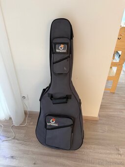 Kytara Blond DJO-110S - 4