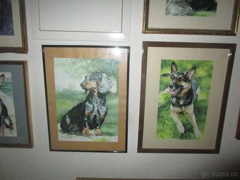 chovatelské potřeby - 4