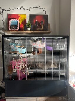 Klec Savic Zeno 2 s vybavením - 4