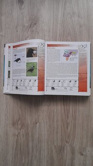 Přírodovědná cvičebnice pro Gymnázia - 4