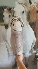 Hobby horse - 4