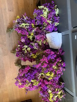 Prodám sušené kytky - 4