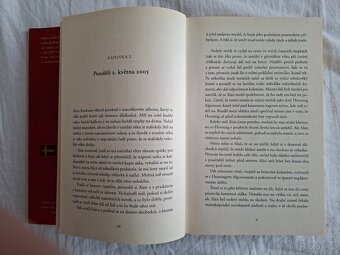 Stoletý stařík, který vylezl z okna a zmizel - Jonas Jonasso - 4