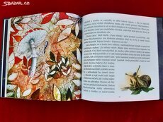 Něco vymyslíme Jonáši, Já mravenec - 4